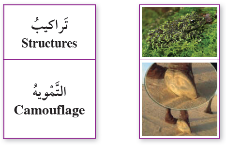 أصل المفهوم بالصورة المناسبة له في ما يأتي أصل المفهوم بالصورة المناسبة له في ما يأتي